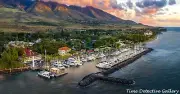 An Aerial View of the Harbor, Lahaina, Maui, Hawaii - Color Photo Print