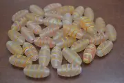 60+ PCS PEACH TUBE LAMPWORK GLASS GLASS BEADING BEADS #BD-837