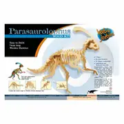 Dinosaur Skeleton Kit - 74cm Wooden Parasaurolophus