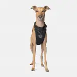 【CANADA POOCH】安全第一胸背帶單色-S(胸背帶/寵物配件/EVERYTHING HARNESS S)