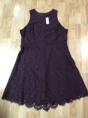 Ann Taylor Women’s Size 18 Lace NWT Wine Dress