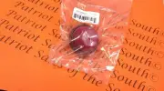 TECUMSEH Part # 570682A CARBURETOR PRIMER BULB