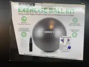 Exercise Ball for Fitness Balance & Yoga, Workout Guide & Quick Pump Purple,65CM
