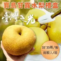 在飛比找樂天市場購物網優惠-【緁迪水果JDFruit】台灣小農【自產自銷】巨無霸寶島甘露