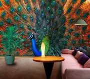 3D Peacock Feather O285 Animal Wallpaper Wall Murals Removable Wallpaper Fay