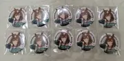 Uma Musume Pretty Derby Character Badge Collection Vol.9 Sirius Symboli Can