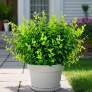 12 Bundles Artificial Plants Outdoor, UV Resistant Fake Eucalyptus Boxwood Sh...