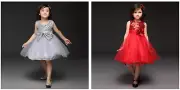 Flower Girls Wedding Christmas Christening Birthday Silver Red Tutu Dress