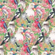 Patchwork Quilting Sewing Fabric Aussie Birds Parrots B 50x55cm FQ