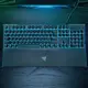 Razer Ornata V3 X 雨林狼蛛 V3 X 薄膜式 RGB 鍵盤