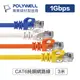 (現貨) 寶利威爾 CAT6 高速網路線 3米 CAT.6 網路線 RJ45 福祿克認證 POLYWELL