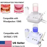 Ultrasonic Piezo Dental Scaler Handpiece 2*Bottles Fit EMS Cavitron/DTE SATELEC