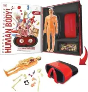 Virtual Reality Human Body VR Book & STEM skeleton organs brain heart