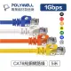 【祥昌電子】POLYWELL 寶利威爾 RJ-45 CAT.6 福祿克 高速網路線 網路線 24AWG 黑色 5M