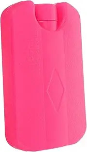 Portable Ice Pack Multipurpose Cooler Ice Storage Box Pet Cooling Supply Summer Cooling Leakproof Easy to Maintain