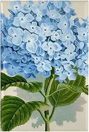 CafePress Blue Hydrangea Flowers Rectangle Magnet, 2"x3" Refrigerator Magnet