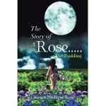 THE STORY OF A ROSE: THE BUDDING