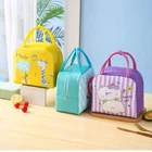 Portable Thermal Lunch Box Storage Bag Cartoon Picnic Handbags Kid