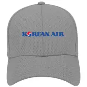 Korean Air 2010's Logo Adjustable Gray Blue Red Mesh Golf Baseball Cap Hat New