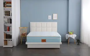 【契斯特-小資矽膠版】極凍紗凍感2.5線徑硬式彈簧床墊-單人3尺 (8.7折)