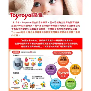 當天出貨 全新💯公司貨 🇯🇵日本 樂雅 Toyroyal 洗澡玩具-釣魚組 撈撈樂