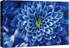 Wall26 Floral Canvas Print Blooming Navy Blue Dahlia Flower Botanical Art