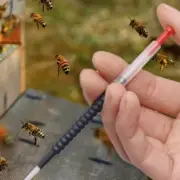 2Pcs Beekeepers Grafting Retractable Beekeeping Tool for Rearing larvae needl&JL