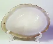 Natural Polished Carnelian Agate Slice Quartz Crystal Palm Stone Healing / Stand