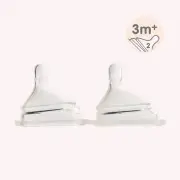 Hegen Teats - Medium Flow (3-6 months) - 2pk by Hegen | the memo