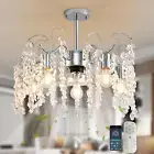 20In Ceiling Fans with Lights,Modern Fandelier Ceiling Fan with Light and Remote