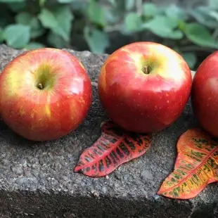 【水果達人】美國大顆富士蜜蘋果64顆原封箱x1箱(300g±10%/顆)