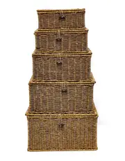 Lanai Storage Basket set of 5