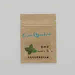 GREEN PANDORA DIY種子包 種子 香草種子 發芽率高 桌上型盆栽 迷你盆栽 生日禮物 辦公室小物 療癒盆栽