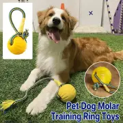 Pet Toy Swing n Fling Foam Rope Fetch Ball Dog Toy Round Pull Ring Chew Ball 9CM