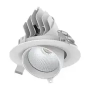 DOMUS SCOOP-25 Round 25W Adjustable LED Dimmable Downlight Tri-Colour