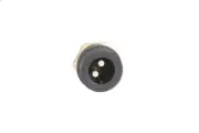 Sensor, intake air temperature FAE 33901 for MAN NM 4.58 1992-1997