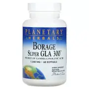 2 X Planetary Herbals, Borage Super GLA 300, 1,300 mg, 60 Softgels
