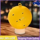 Fruit Fly Traps Useful Sticky Traps Multifunction for Fruit Fly Hoverfly Gnat OZ
