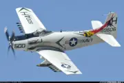 1/6 Scale AD-1/4 Skyraider 100" Giant Scale RC Model AIrplane Plans