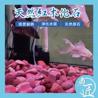 在飛比找蝦皮購物優惠-魚匠✨【天然 紅木化石】淨化水質✤底砂✤水族造景 魚缸裝飾 