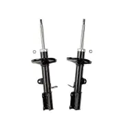 2x Rear Roadsafe STR Sealed Strut Shocks for Toyota Corolla AE112R 1.8L 97-02
