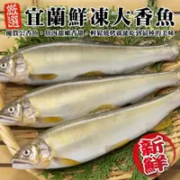 在飛比找ETMall東森購物網優惠-海肉管家-宜蘭鮮凍大香魚(8尾_920g/盒)