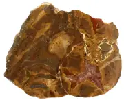 Large Queensland Agate Creek Thunder Egg Slice Crystals Rhyolite Slab Thunderegg
