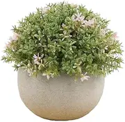 AU011-5 Artificial Mini Potted Plants，1 Pcs Artificial Flower Indoor Faux Greenery Topiary Shrubs with Grey Pots for Home,Bathroom,Shelf Office,Masculine Potted Artificial Plants for Desk