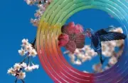 HUMMINGBIRD - COLOURED - STAINLESS STEEL WIND WHIRL SPINNER