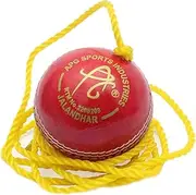 APG String Leather Cricket Balls – Develop Hand-Eye Coordination Skills (Pack of 1 Ball) - Made in India