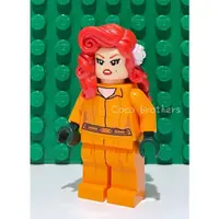 在飛比找蝦皮購物優惠-LEGO 樂高 70912 超級英雄 瘋人院 毒藤女 人偶