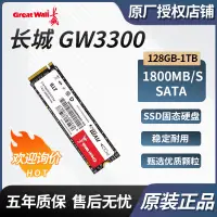 在飛比找蝦皮購物優惠-適用長城GW3300係列 128G/256G/512GB/1