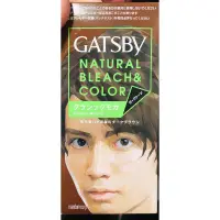 在飛比找蝦皮購物優惠-Gatsby 無敵顯色染髮霜 染髮劑 摩卡深棕