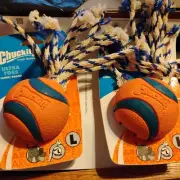 CLOSE OUT. 2 New Chuckit!-Ultra Toss Durable Rope Tug-Of-War Dog Toys LARGE-SALE